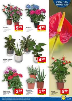 Folheto Lidl Ofertas desta Semana - 18 de Fevereiro a 24 de Fevereiro pág. 23